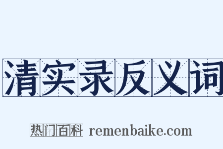 清实录反义词是什么意思的图片